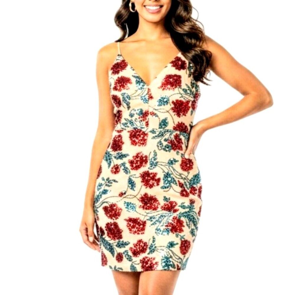 DEAR MOON Dress Roses Red/Green/Tan Lined Women Teen 13 Junior Large NEW NWT